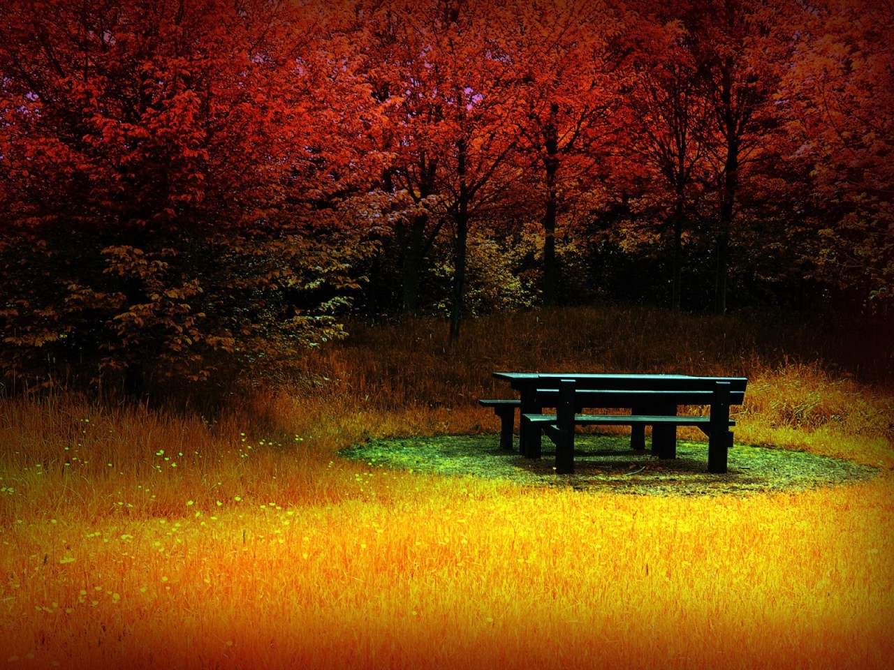 Bright Autumn Desktop Wallpaper