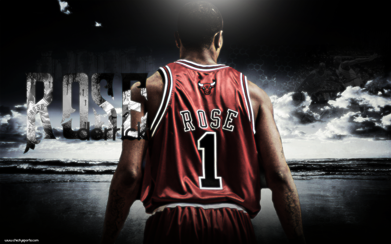 Chicago Bulls Fan Derrick Rose Wallpaper