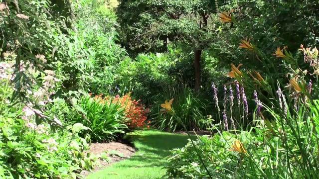 Chelsea Physic Garden Mother Nature S Apothecary On Vimeo