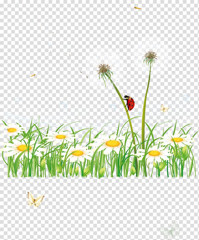 Grass Gis Euclidean Transparent Background Png Clipart