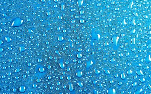 Wet Drops Rainy Day Raindrops Plant Lupine Lupines Rain
