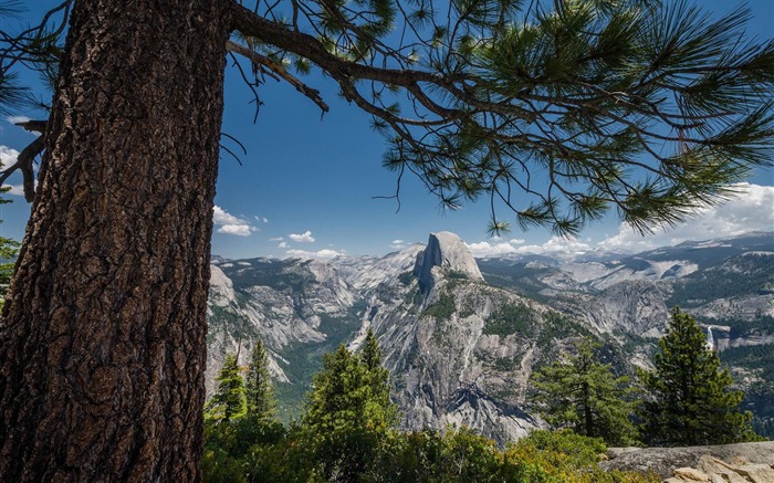 Yosemite National Park Microsoft Theme Wallpaper
