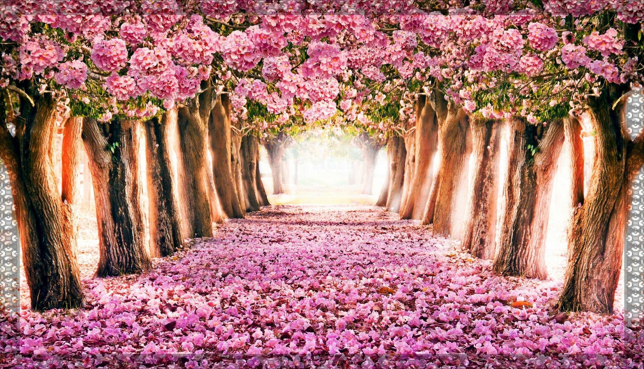 Spring Computer Wallpapers   Top Free Spring Computer Backgrounds