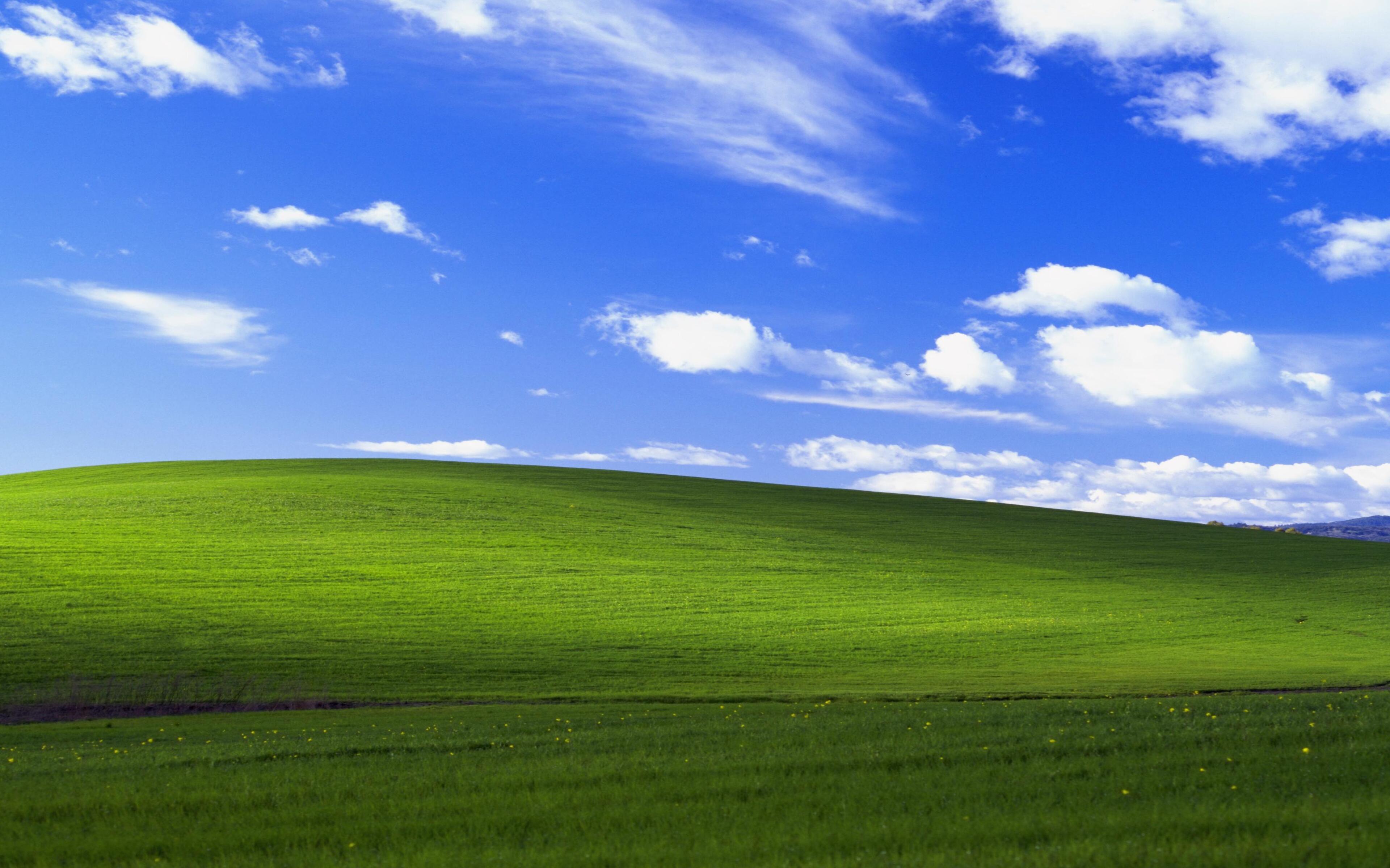 Windows Xp Bliss 4k HD Wallpaper Image