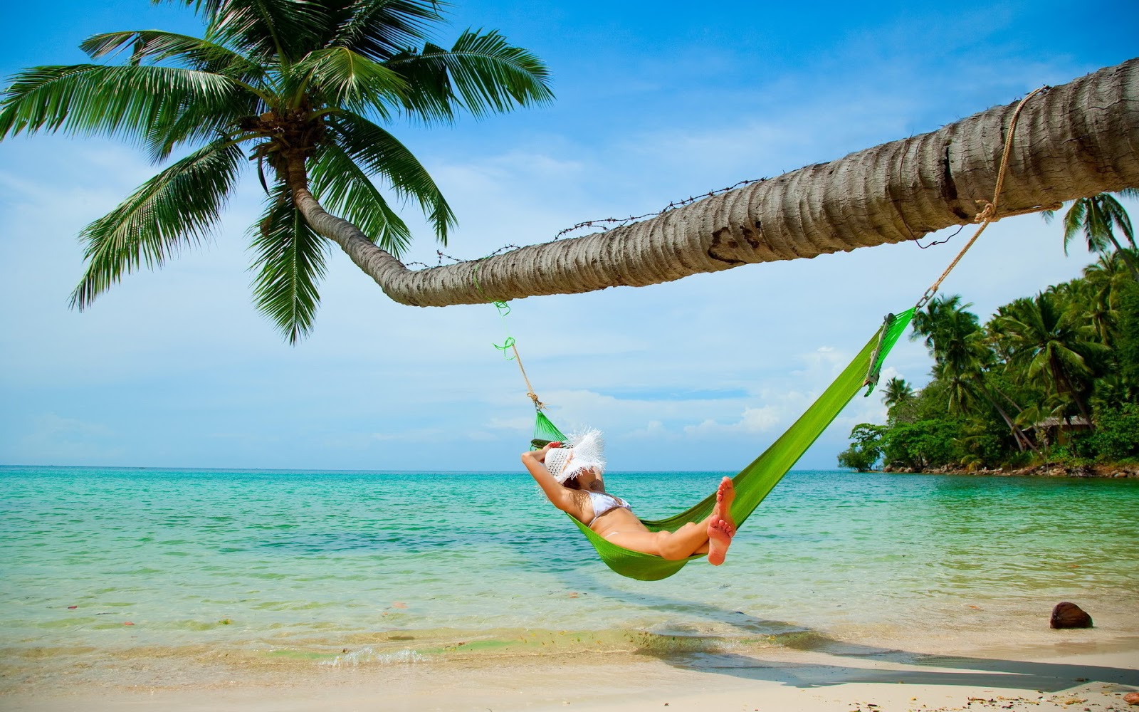 Woman Relaxing In Hammock Wallpaper Collection HD