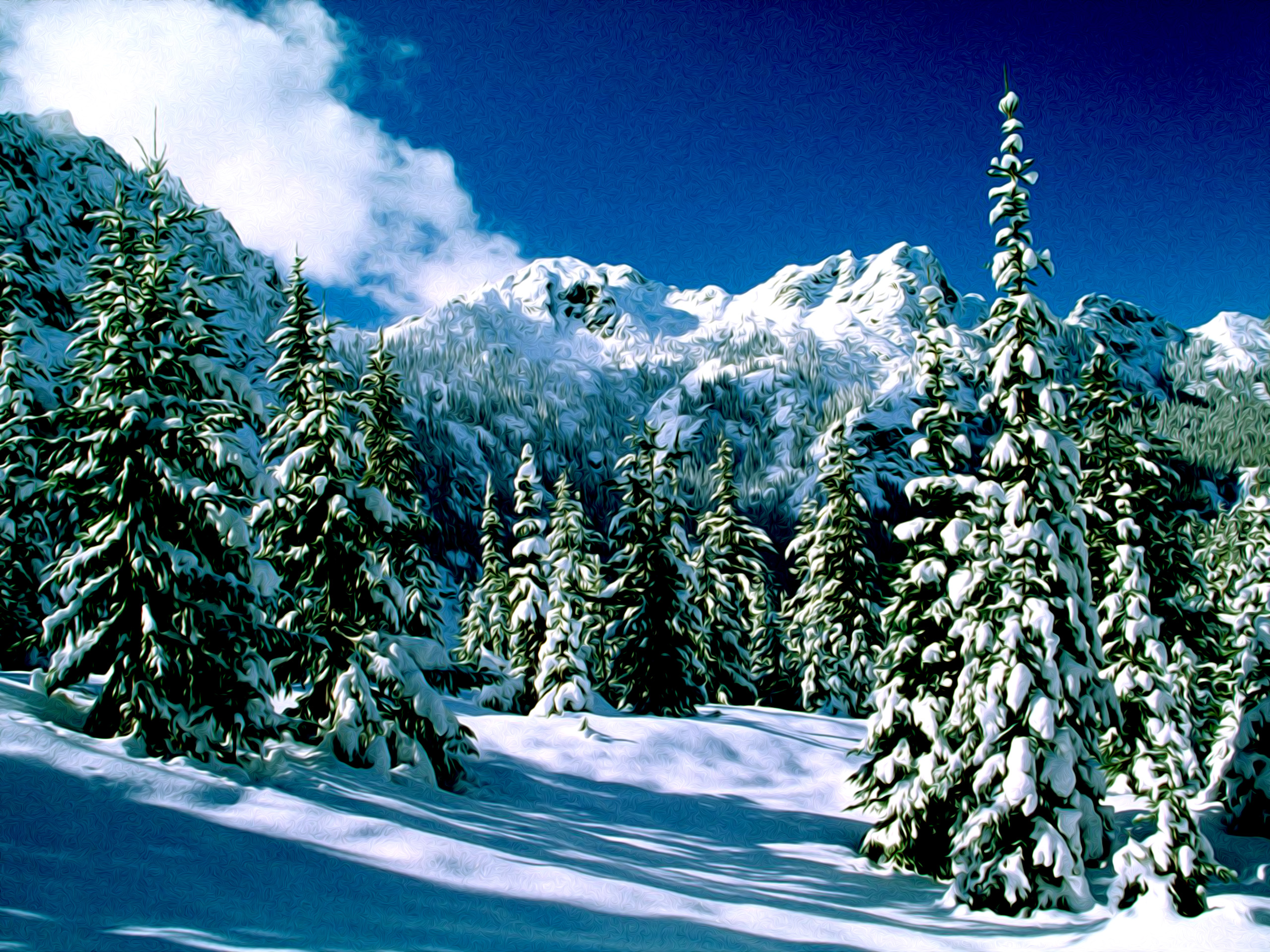 Winter Nature Snow Scene Desktop Wallpaper For Widescreen HD