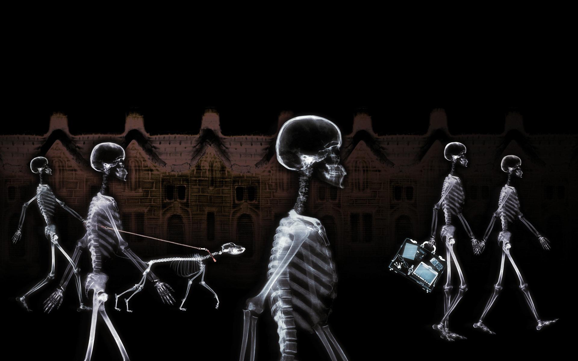 Skeleton Puter Wallpaper Desktop Background Id