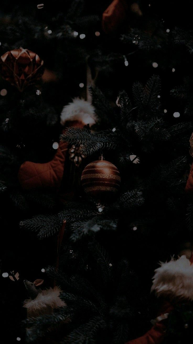 Wallpaper
