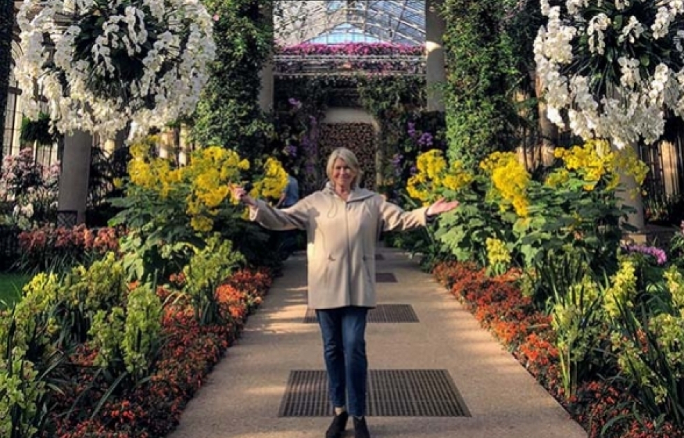 Orchid Extravaganza At Longwood Gardens