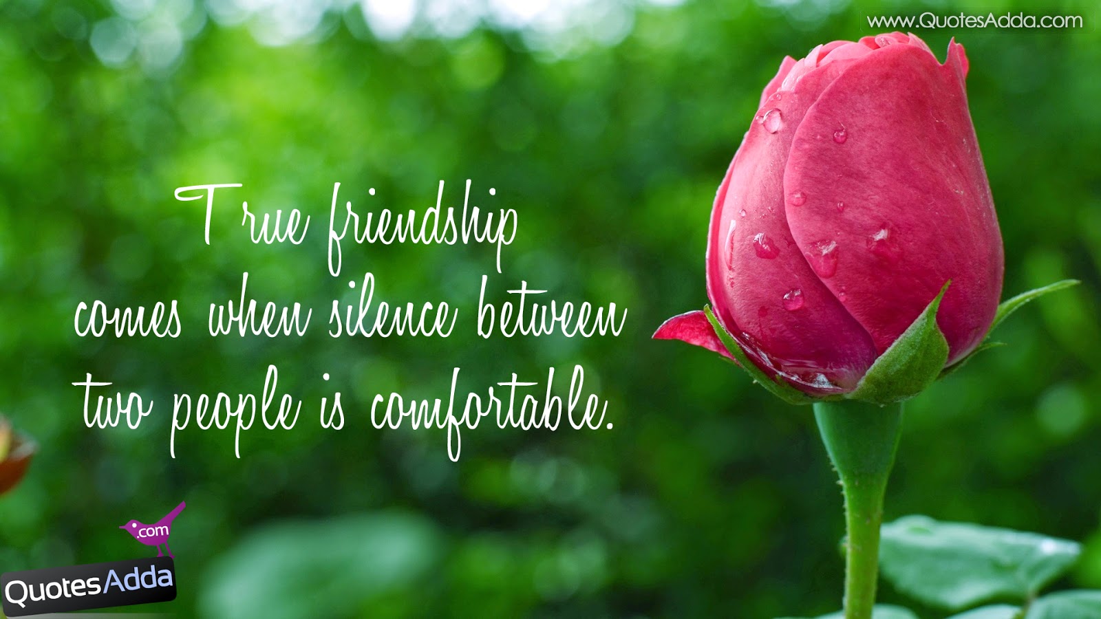 Friendship Wallpaper With Quotes Quotesadda Telugu