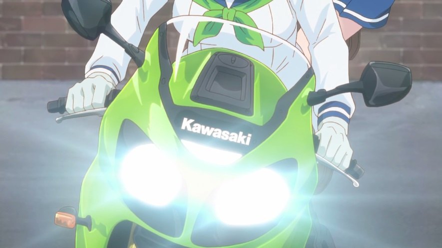 Kawasaki Ninja Zx 10rr Mandesager