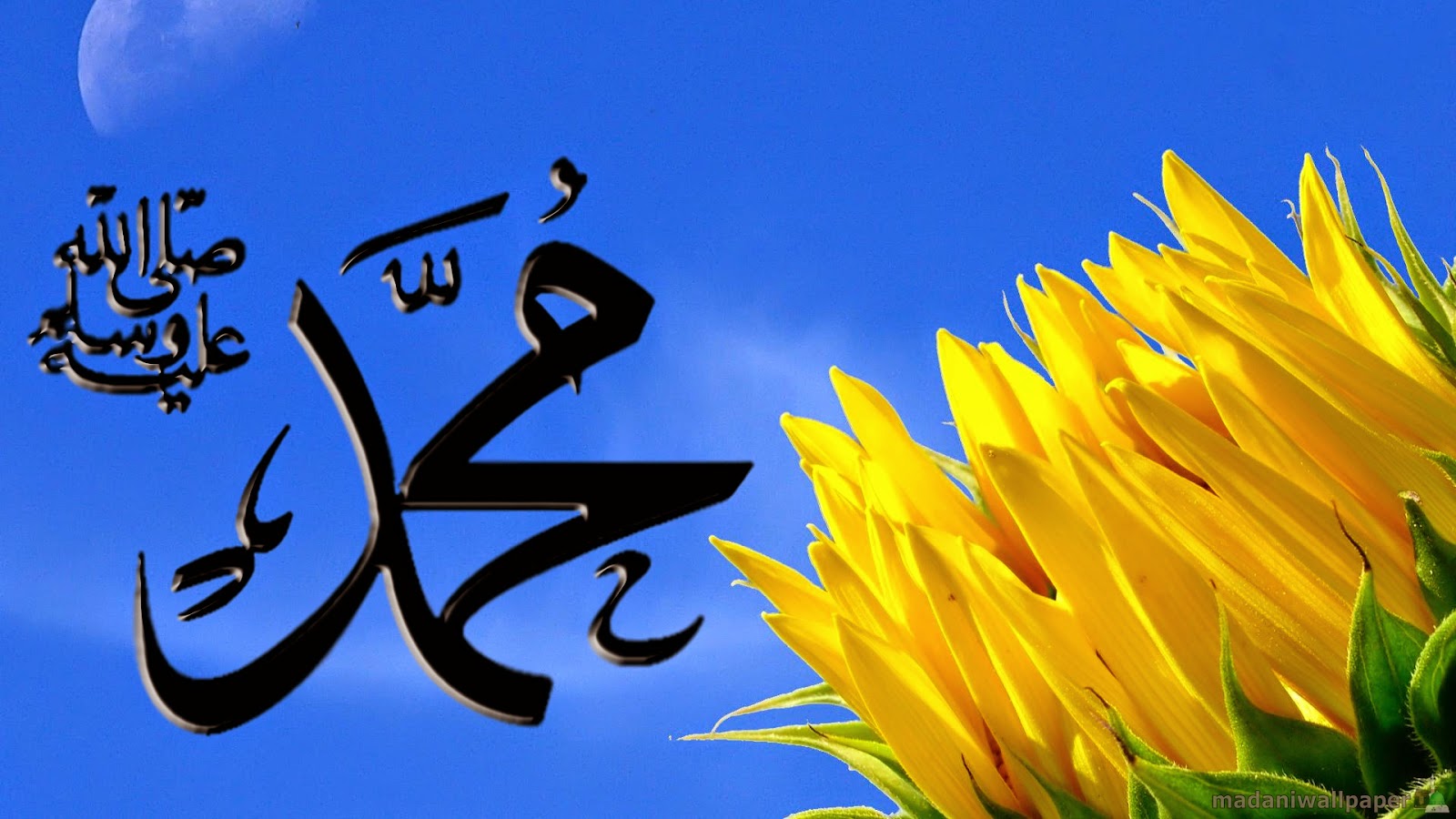 Find more Muhammad Name Wallpaper. 