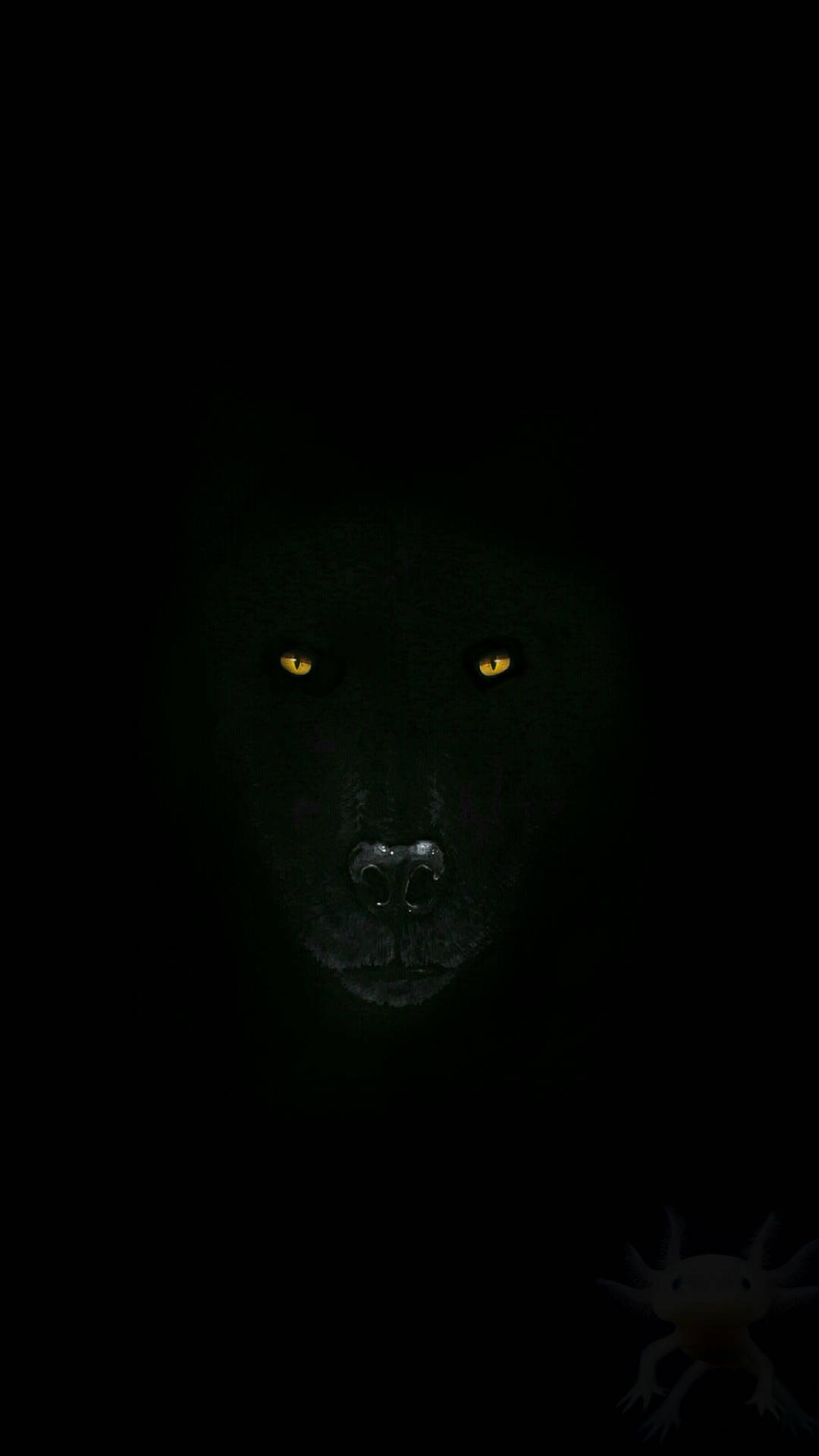 Cool Black Wolf Background Wallpaper