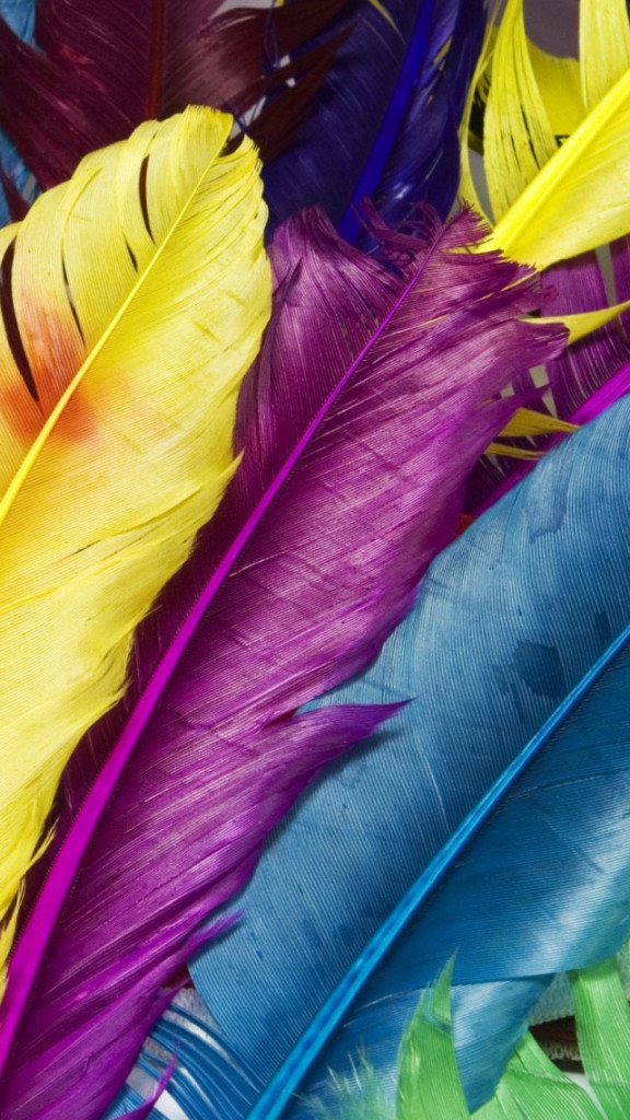 Colorful Feathers Wallpaper iPhone