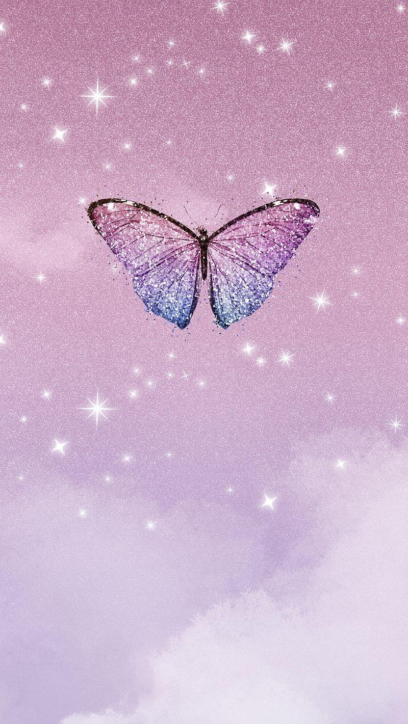 Cute Butterfly Wallpaper Image Photos Png Stickers