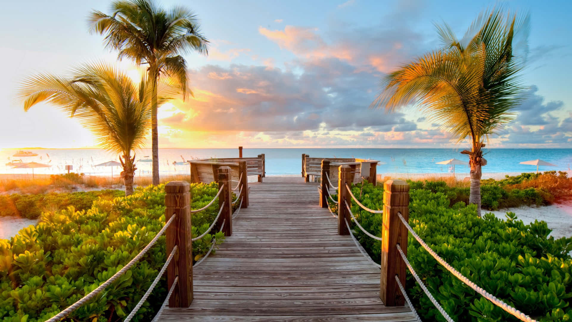 Palm Tree Beach Wallpaper