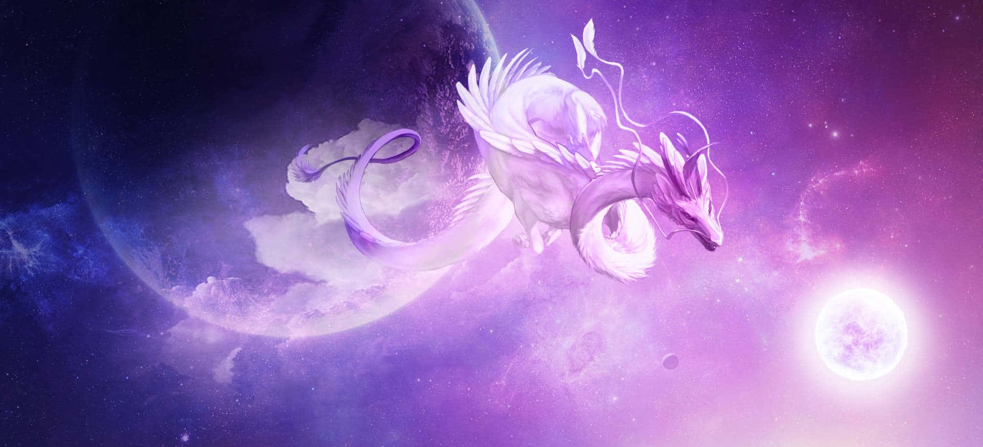 Beautiful Dragon Wallpaper
