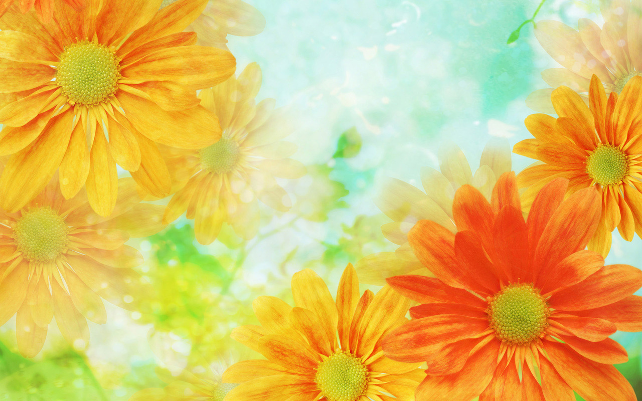 Awesome Yellow Flower Wallpaper Desktop Wallpaperlepi
