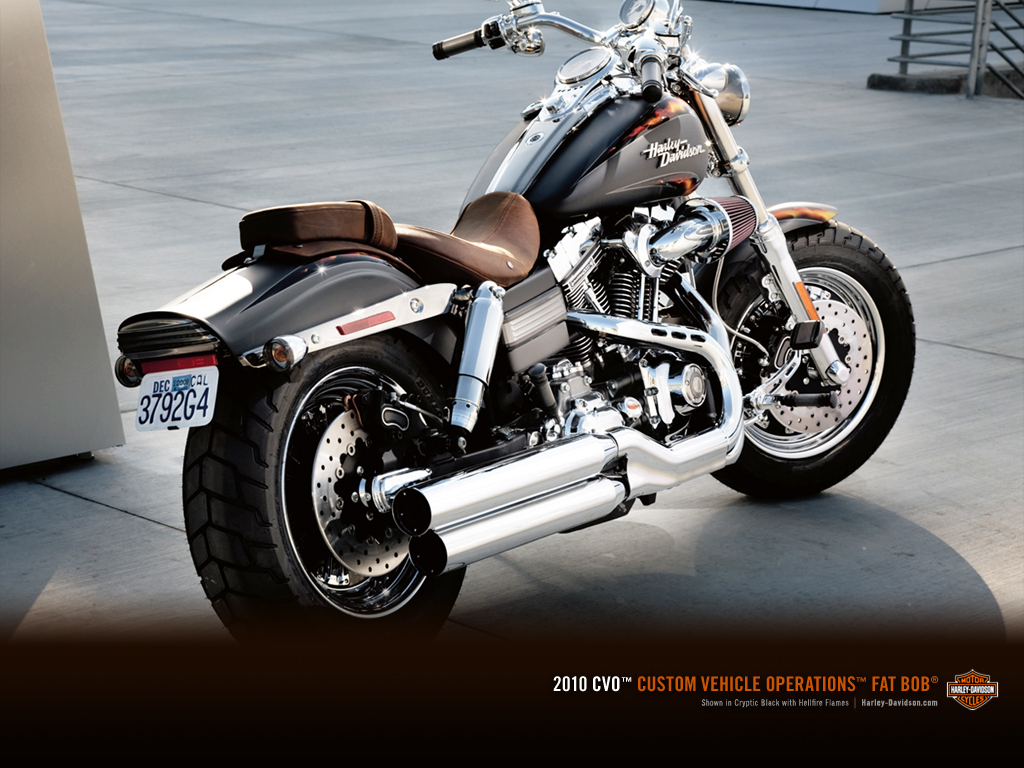 The Anything Harley Davidson Fxdfse2 Cvo Fat Bob