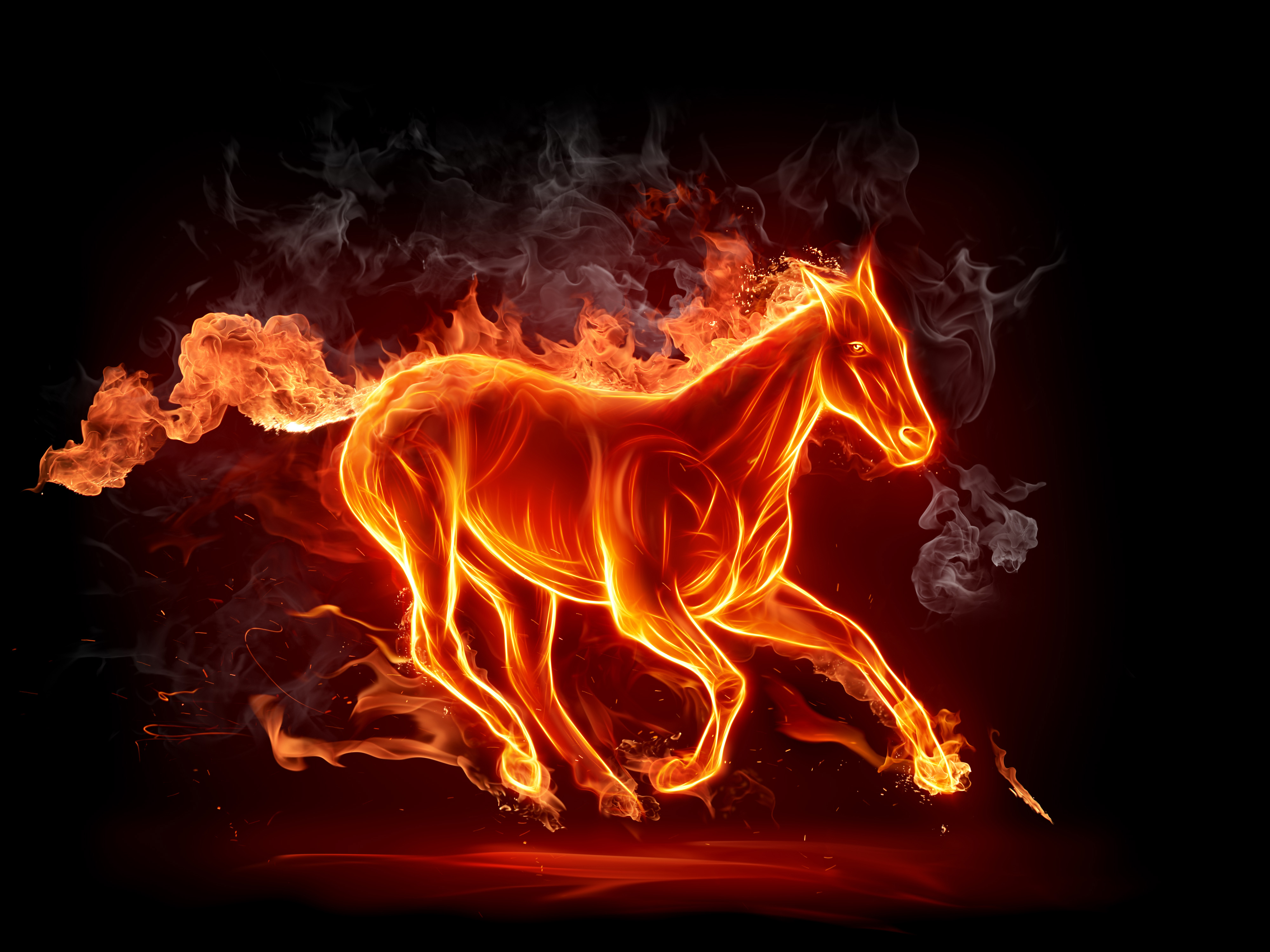 Sensational Glowing Horse 3d Background Wallpaper HD