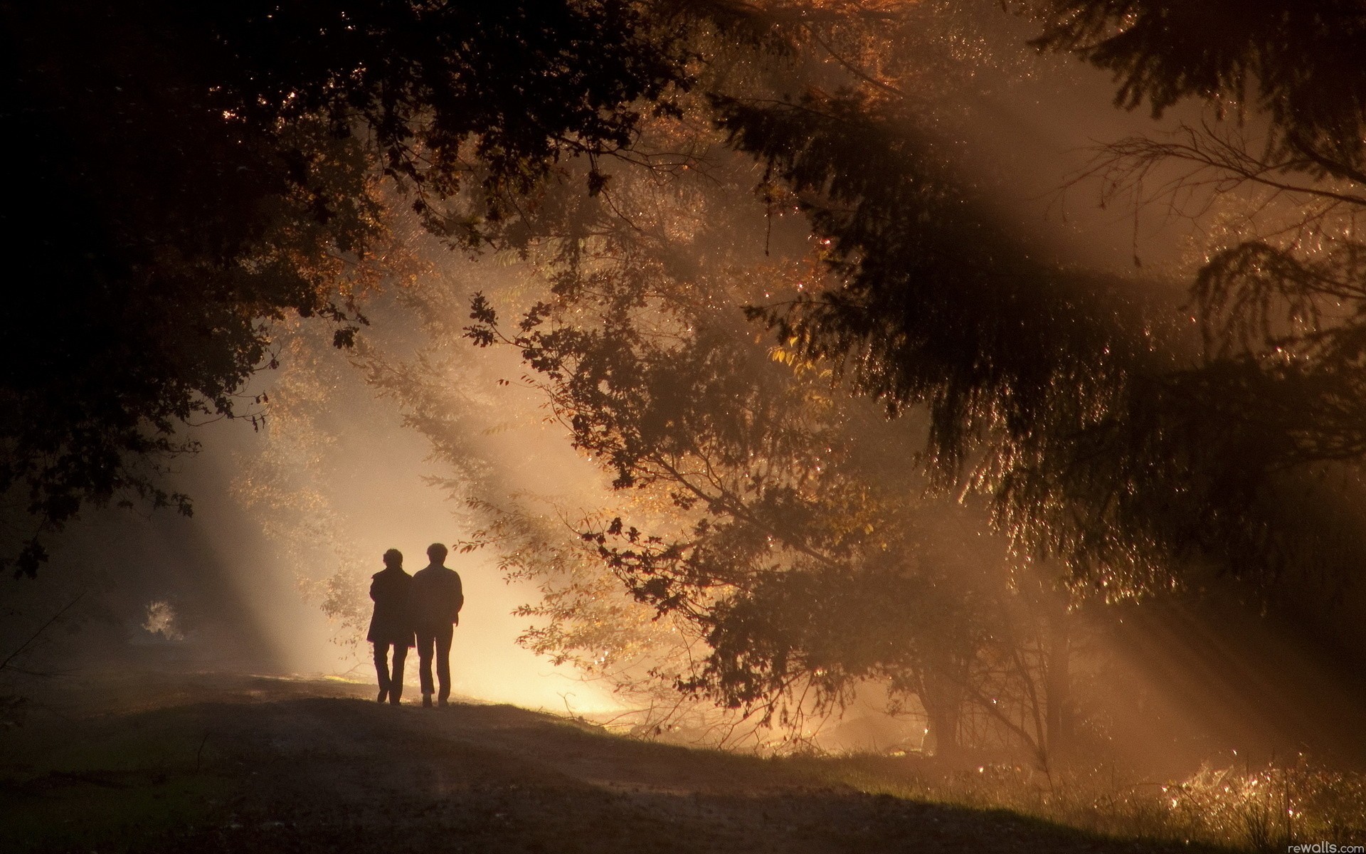 Forest Shadows Trees Sunlight Couple Love Romance Mood Wallpaper
