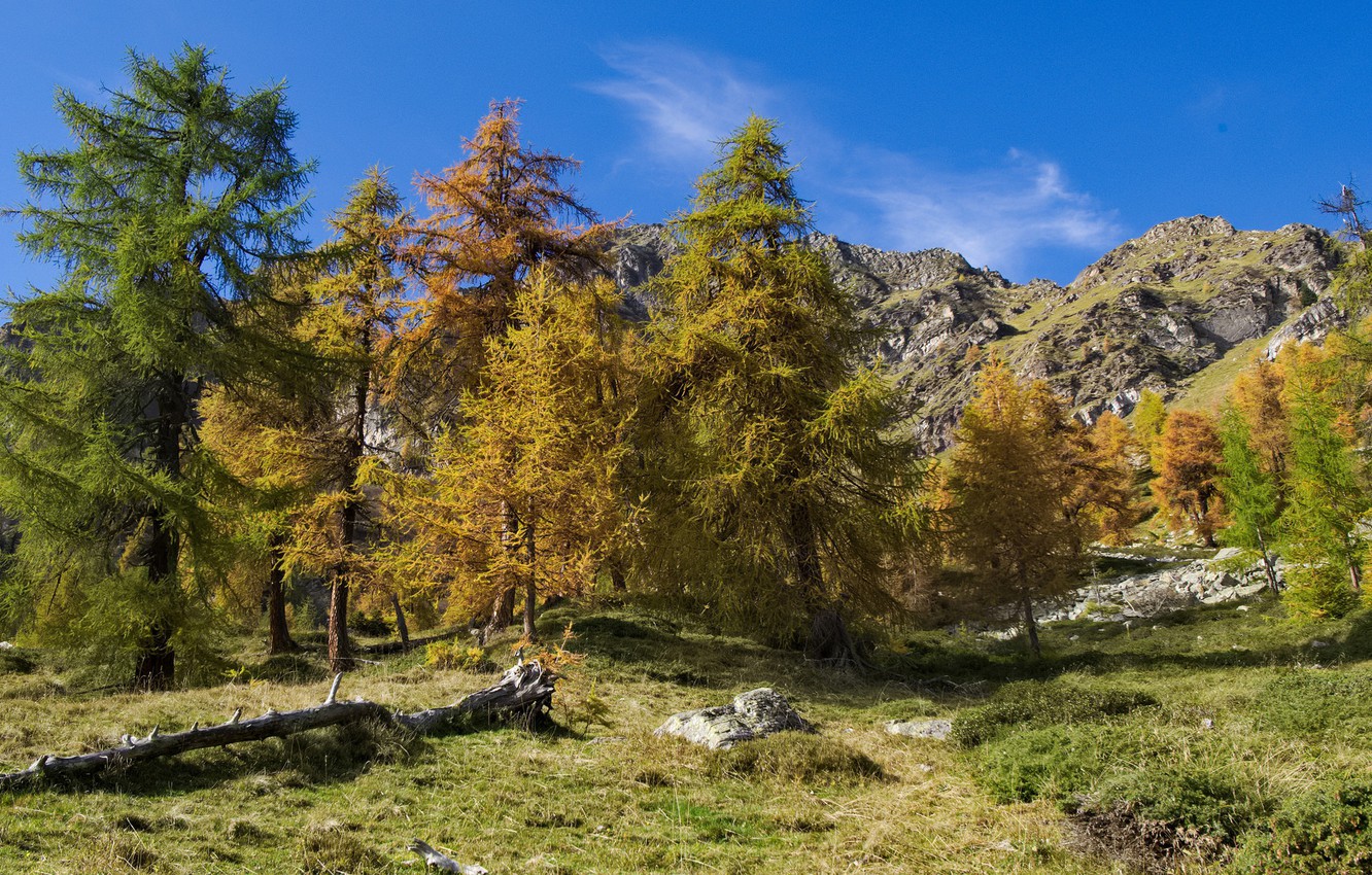 Wallpaper Autumn Trees Mountains Italy Piedmont Image For