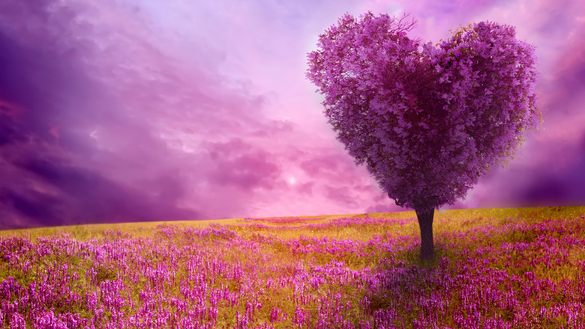Gallery For Gt HD Spring Nature Background