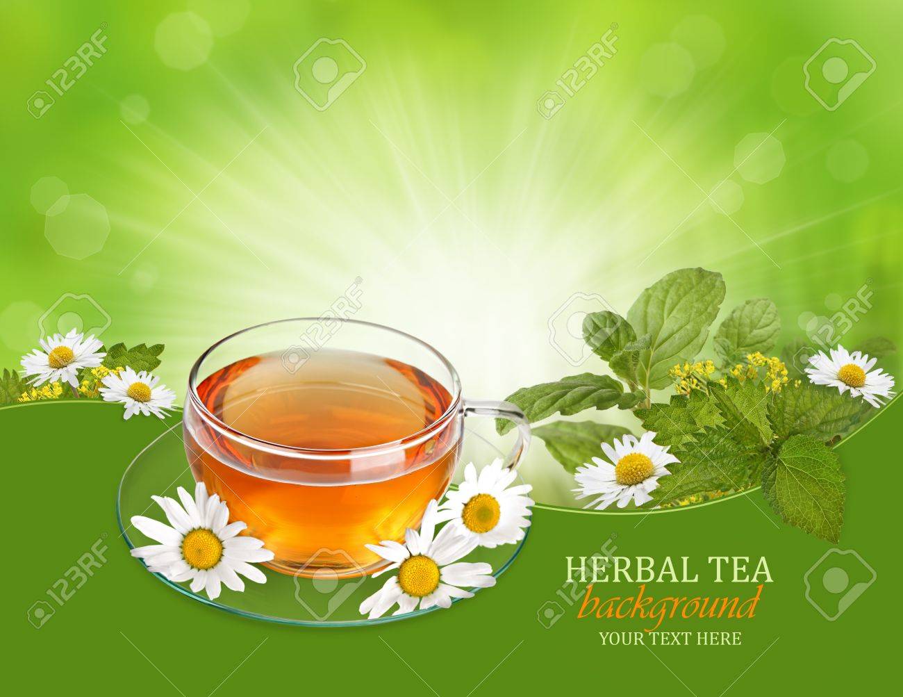Herbal Tea Background With Herbs And Chamomile Stock Photo