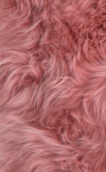 Fur Wallpaper HD