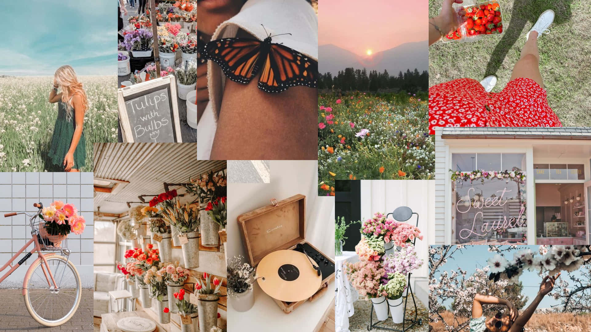 Enjoy The Bloom Of Nature In This Peaceful Spring Aesthetic Desktop Wallpaper