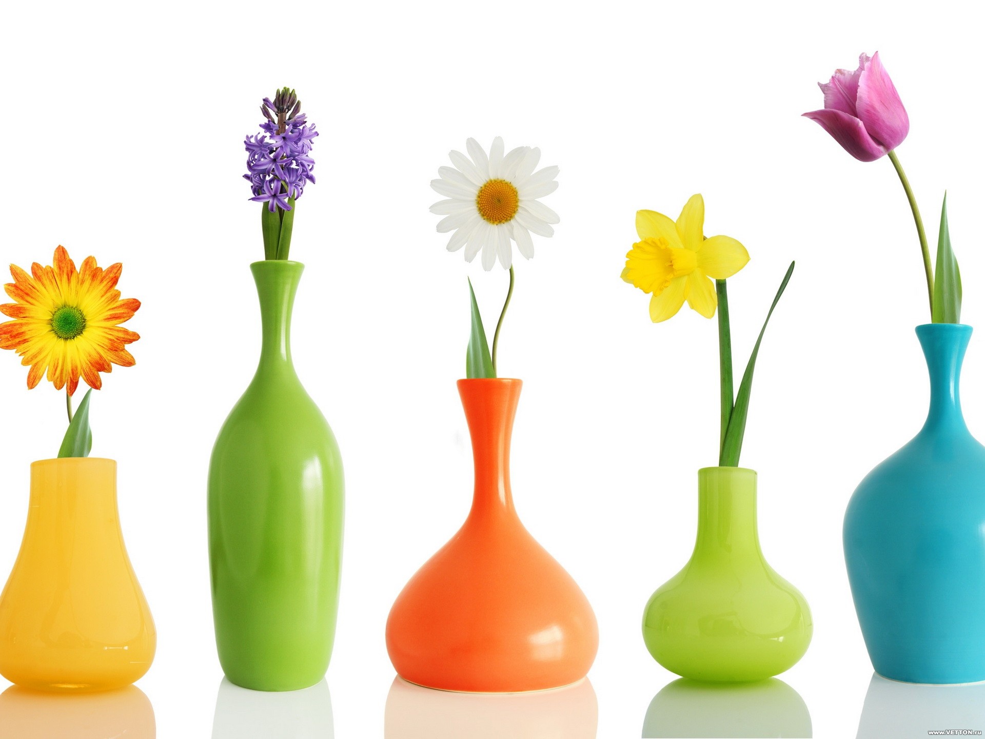  free 3d wallpapers 2010beautiful 3d hd colorful jars with flowers