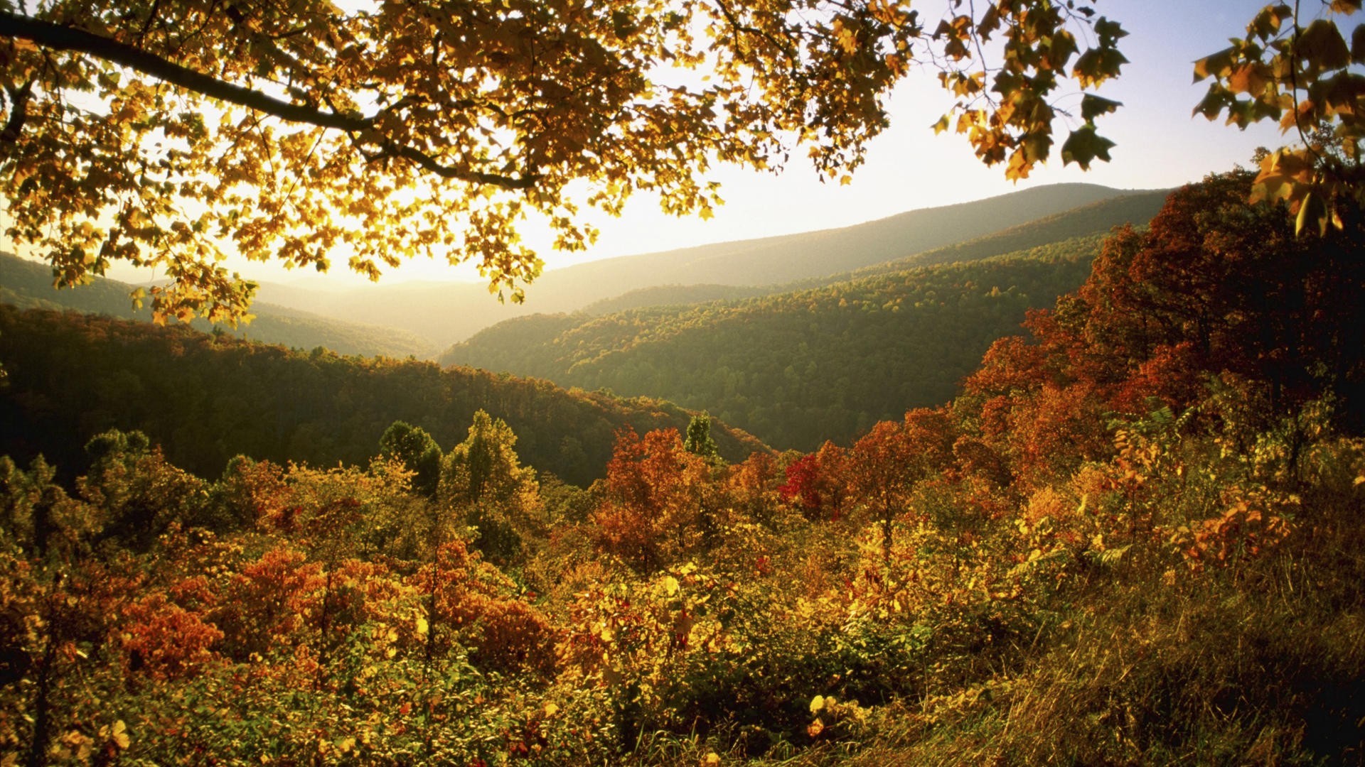 Autumn In Virginia Wallpaper