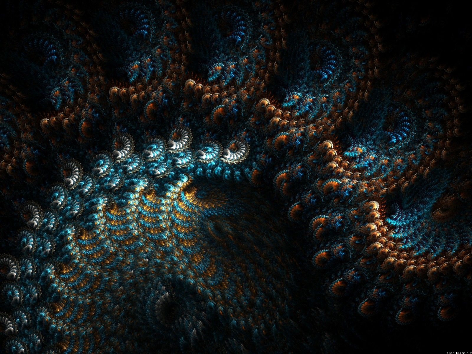 Coral Reef Desktop Wallpaper Photos
