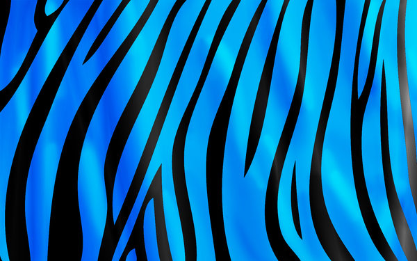 Zebra Wallpaper By Hazel