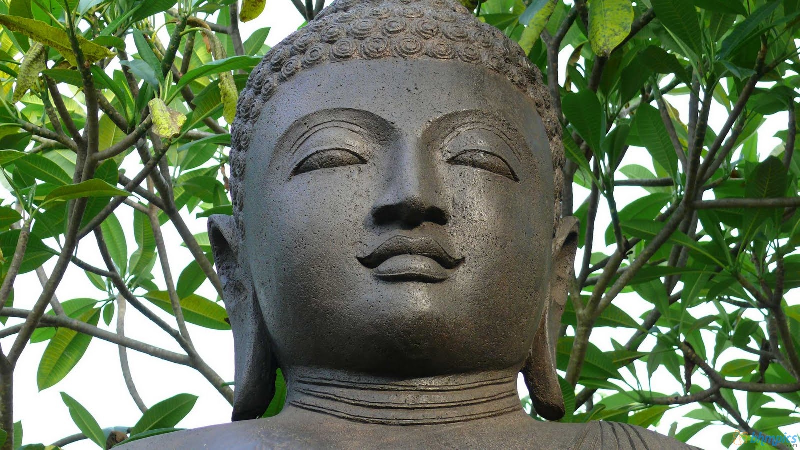 Lord Buddha HD Wallpaper God