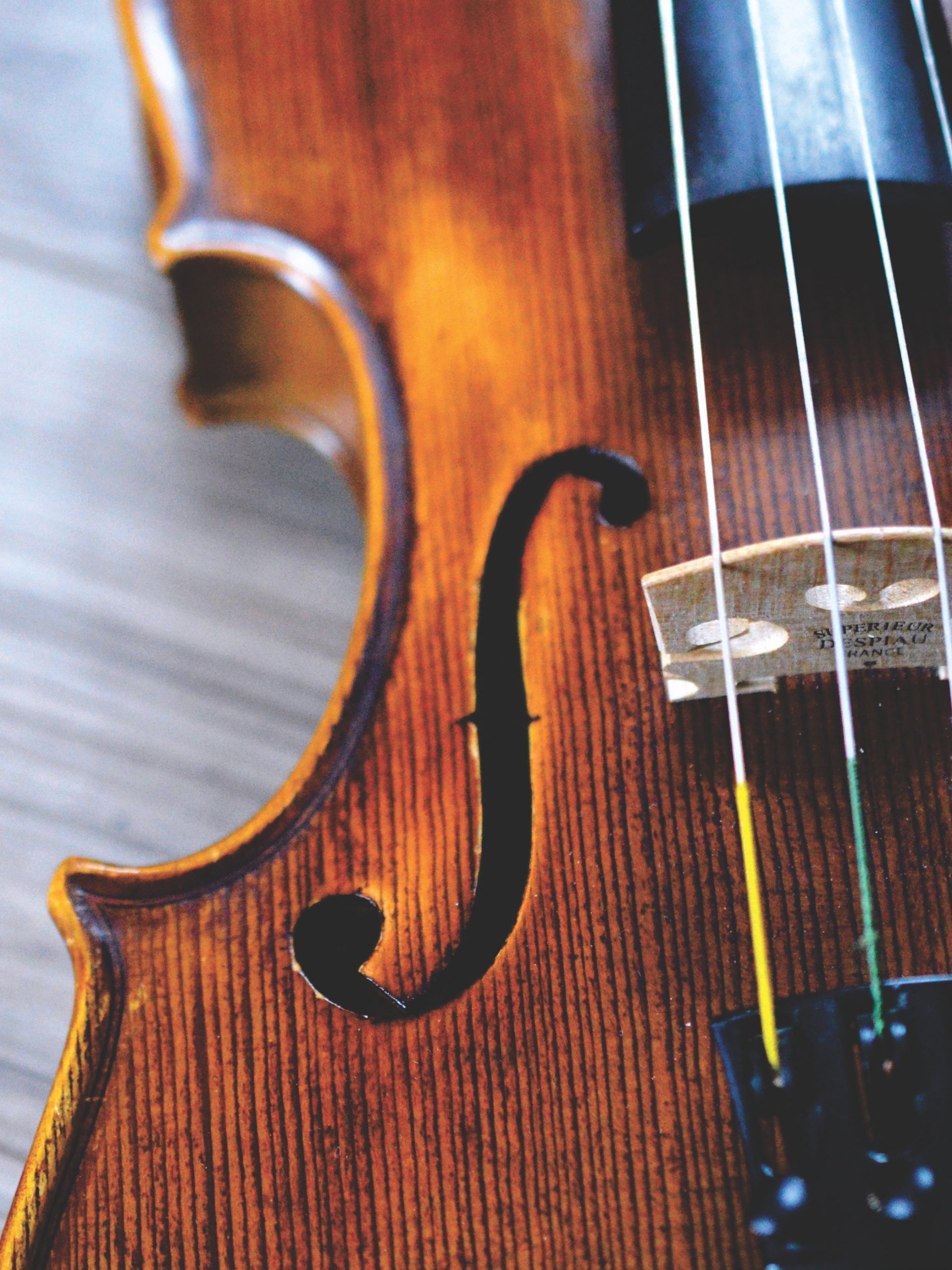 Violin Wallpaper For Desktop