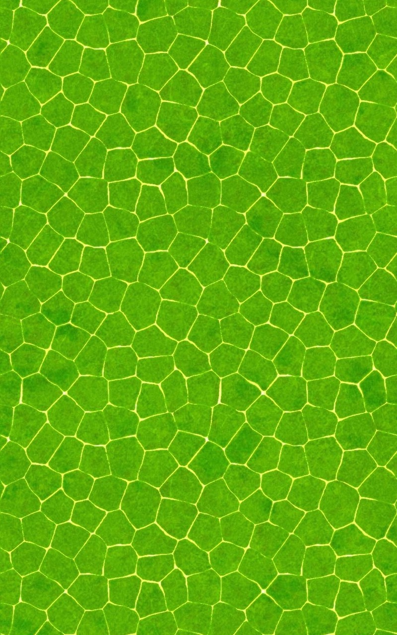 Crocodile Skin Pattern Mobile Wallpaper