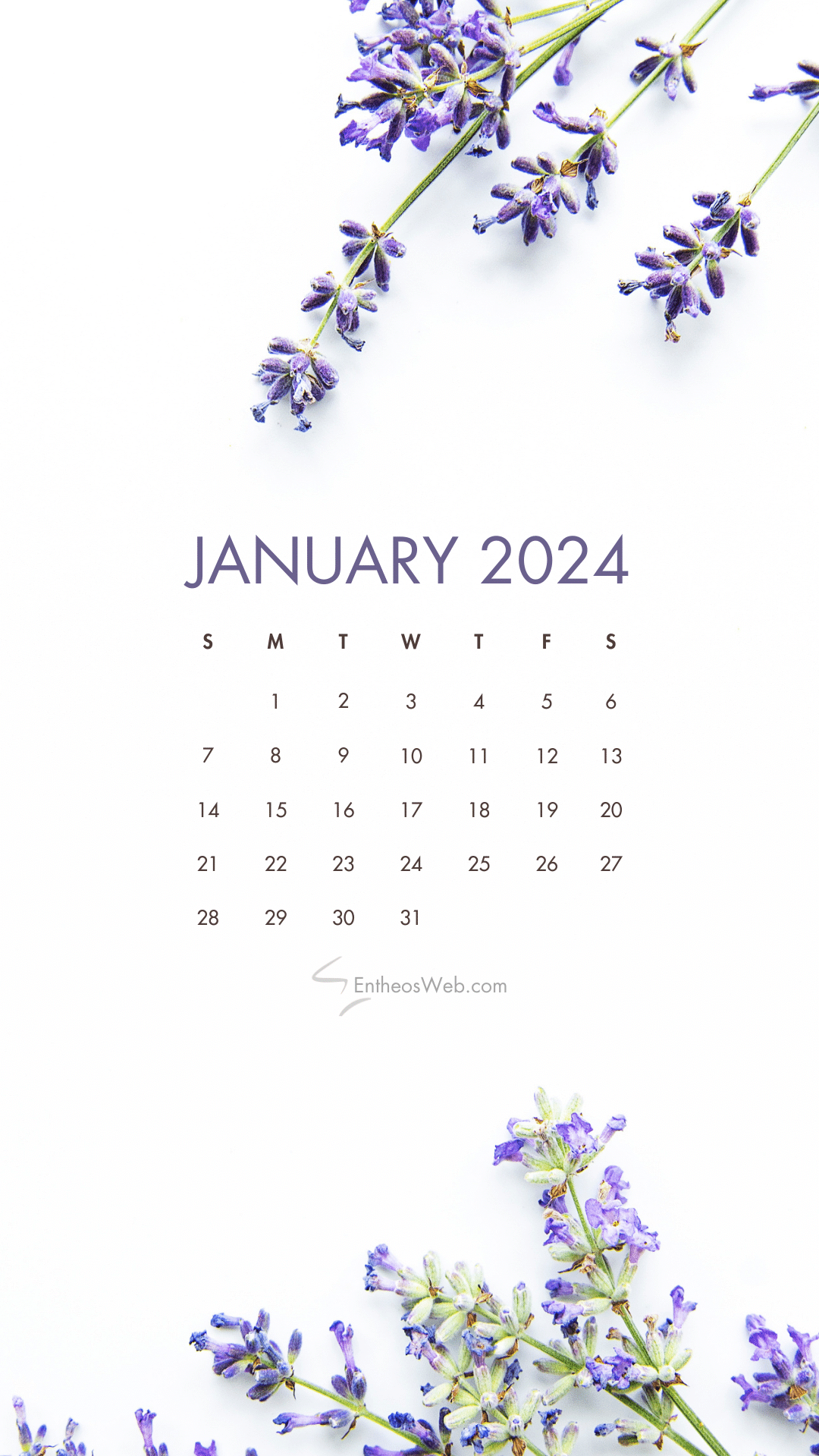 January Phone Wallpaper Calendars Entheosweb
