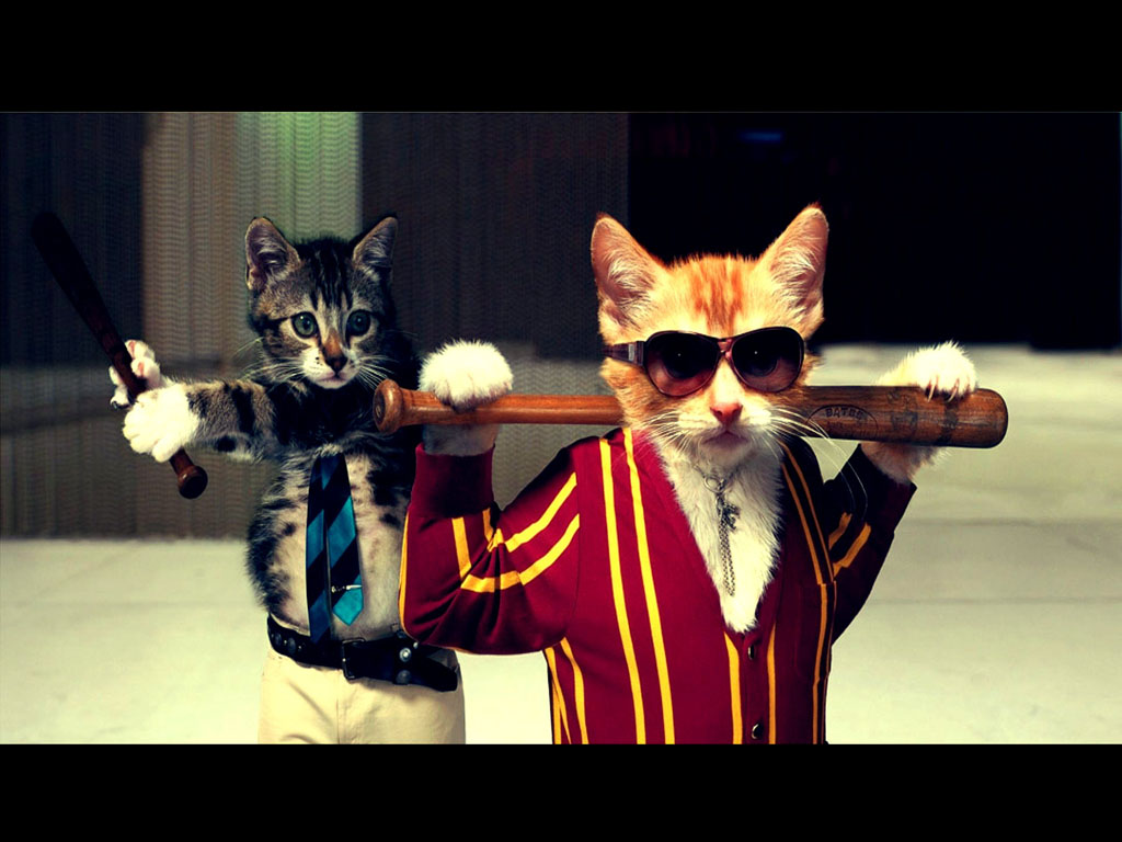 Two cats dressed up, one with a bat and sunglasses, the other with a tie and a small bat, in a humorous pose