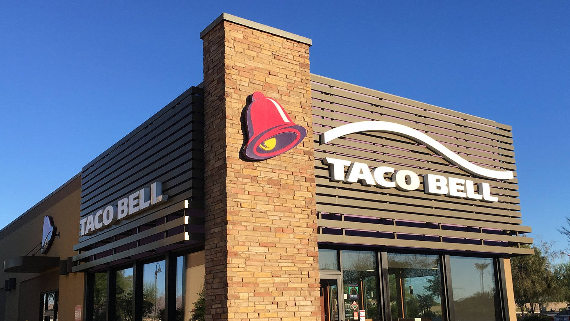Taco Bell Wallpaper