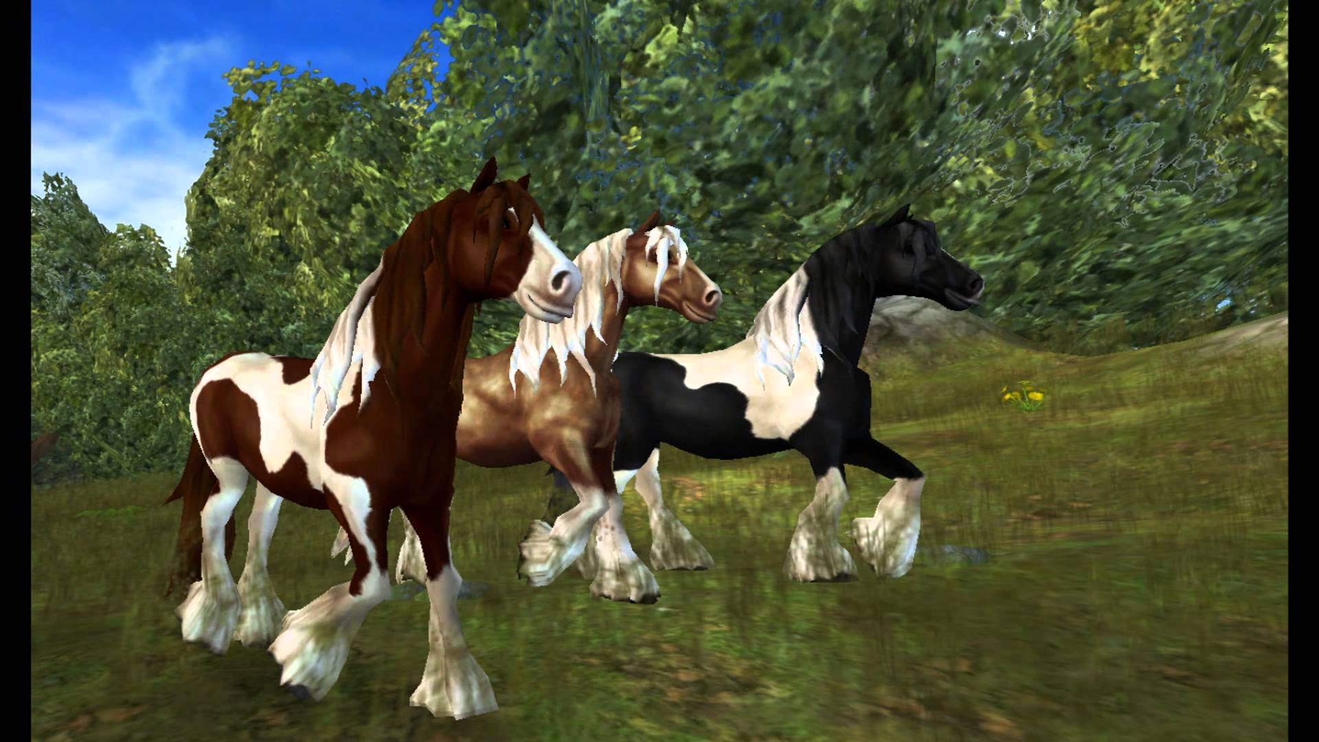 Tinker Horses Star Stable Online