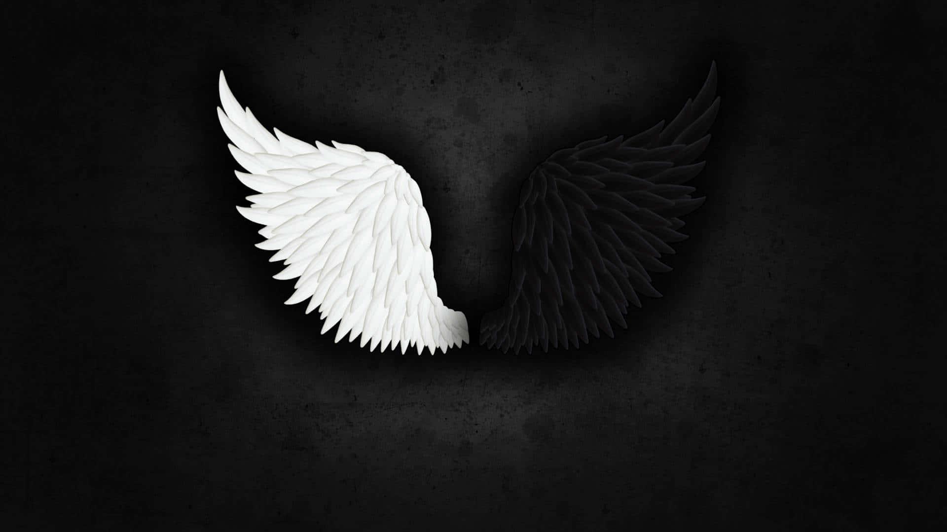 White Angel Black Devil Wings Picture Wallpaper