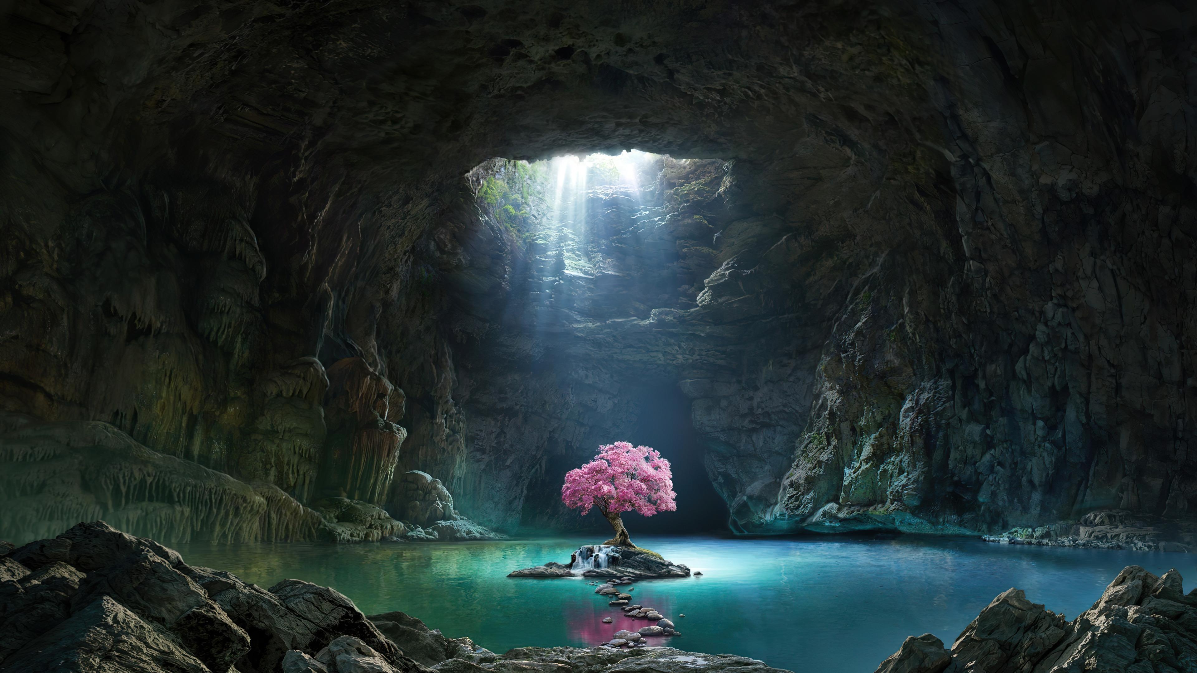 Beautiful Cherry Blossom Cave Lake Scenery 4k Wallpaper