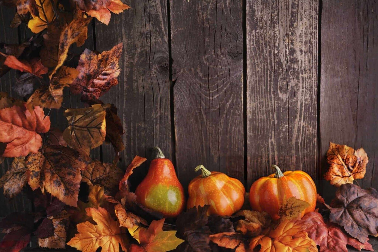 Thanksgiving Wallpaper Quotes