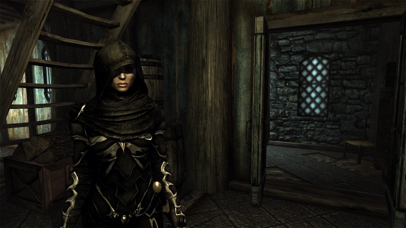 Scrolls Skyrim Re Screenshot Female Assassin Metal Arcade