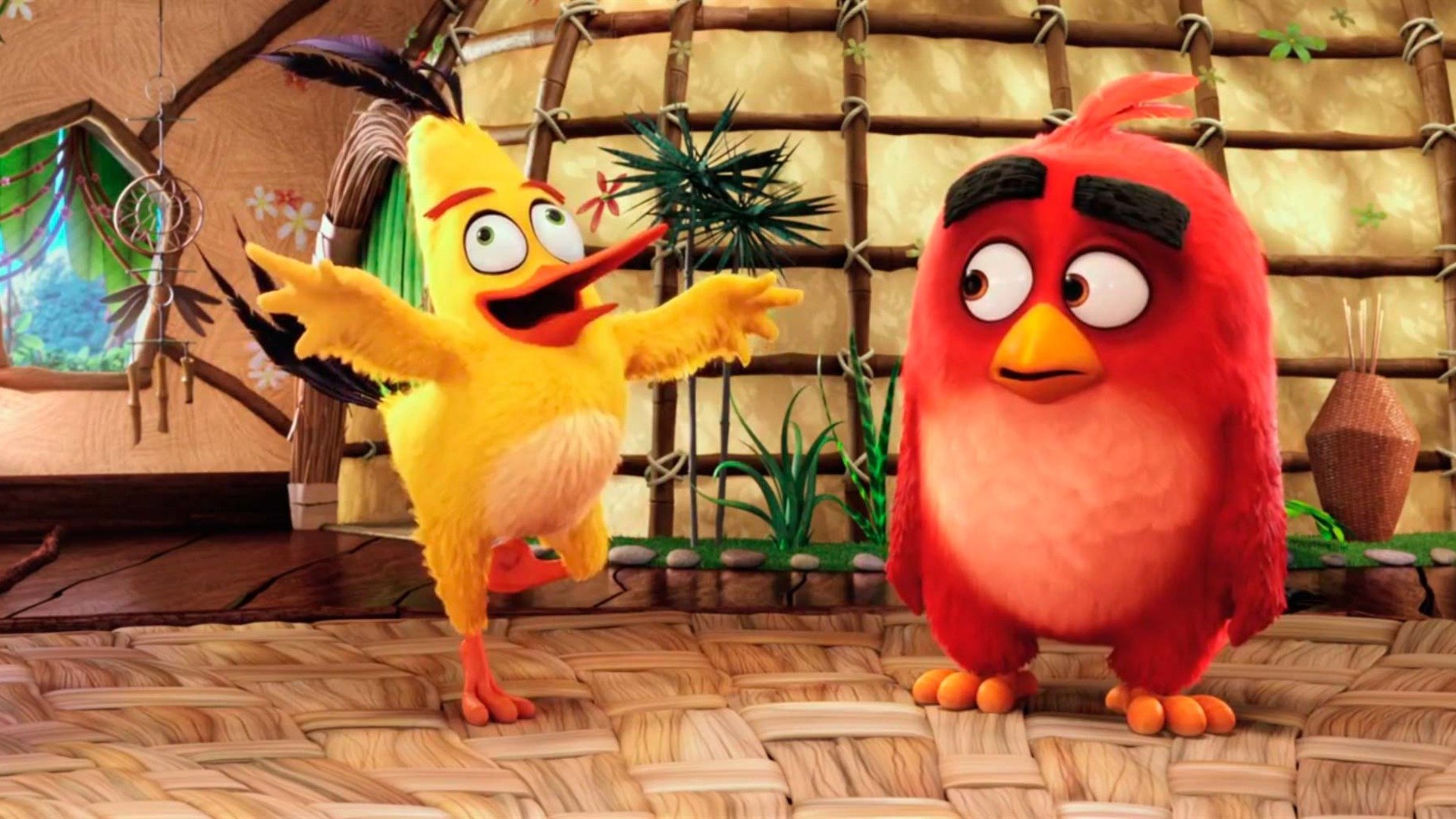 The Angry Birds Movie 2016 HD Wallpapers