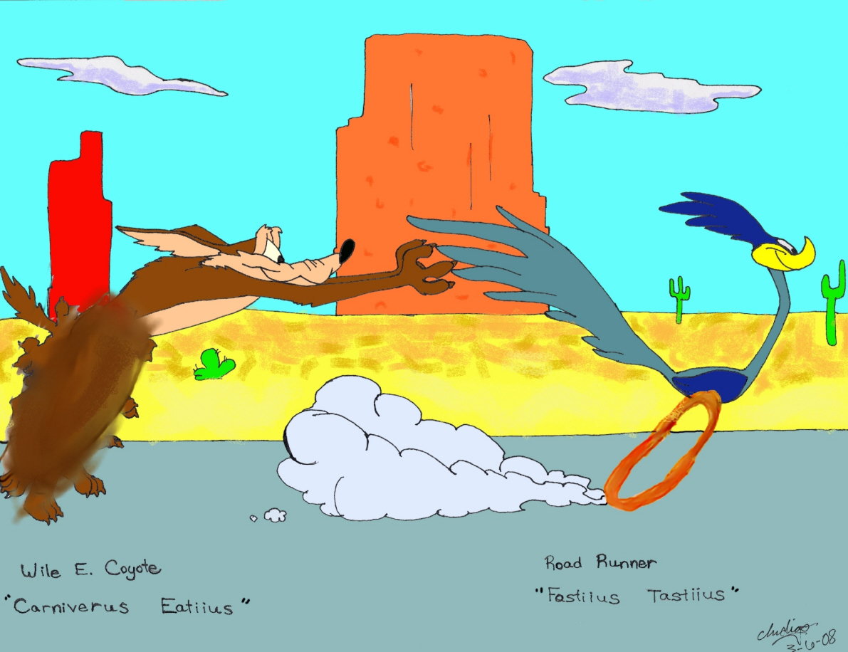 Wile E Coyote And Road Runner By Nightangelworks