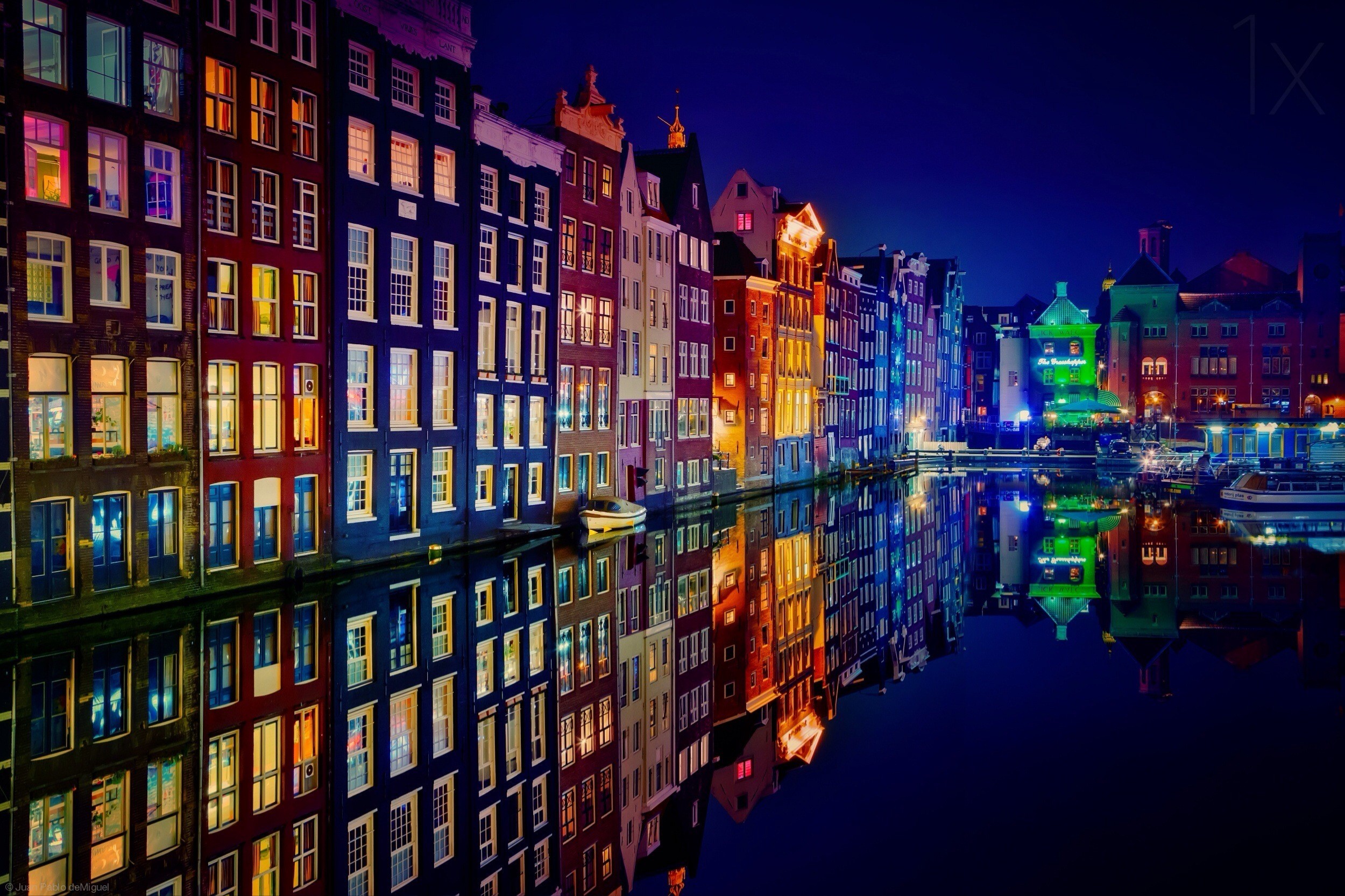 Wallpaper Amsterdam City Yellow Flower Town Background  Download Free  Image