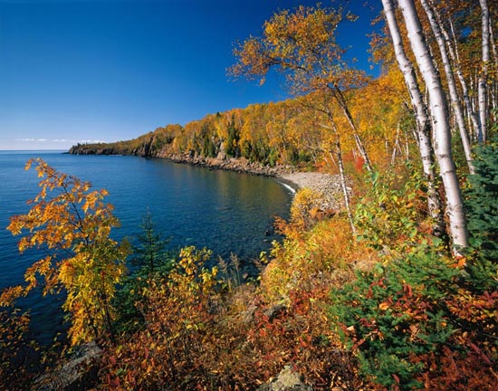 Lake Superior Minnesota Teal Grand Portage Mn Autumn Forest