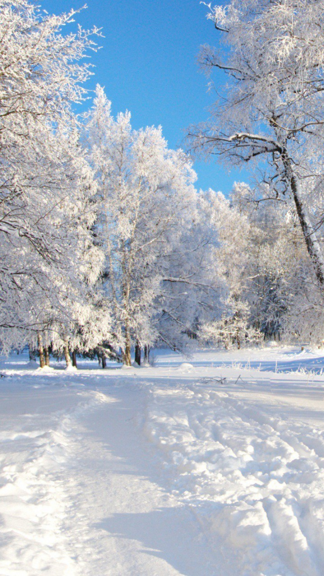 Collection Of Beautiful Winter Wallpaper